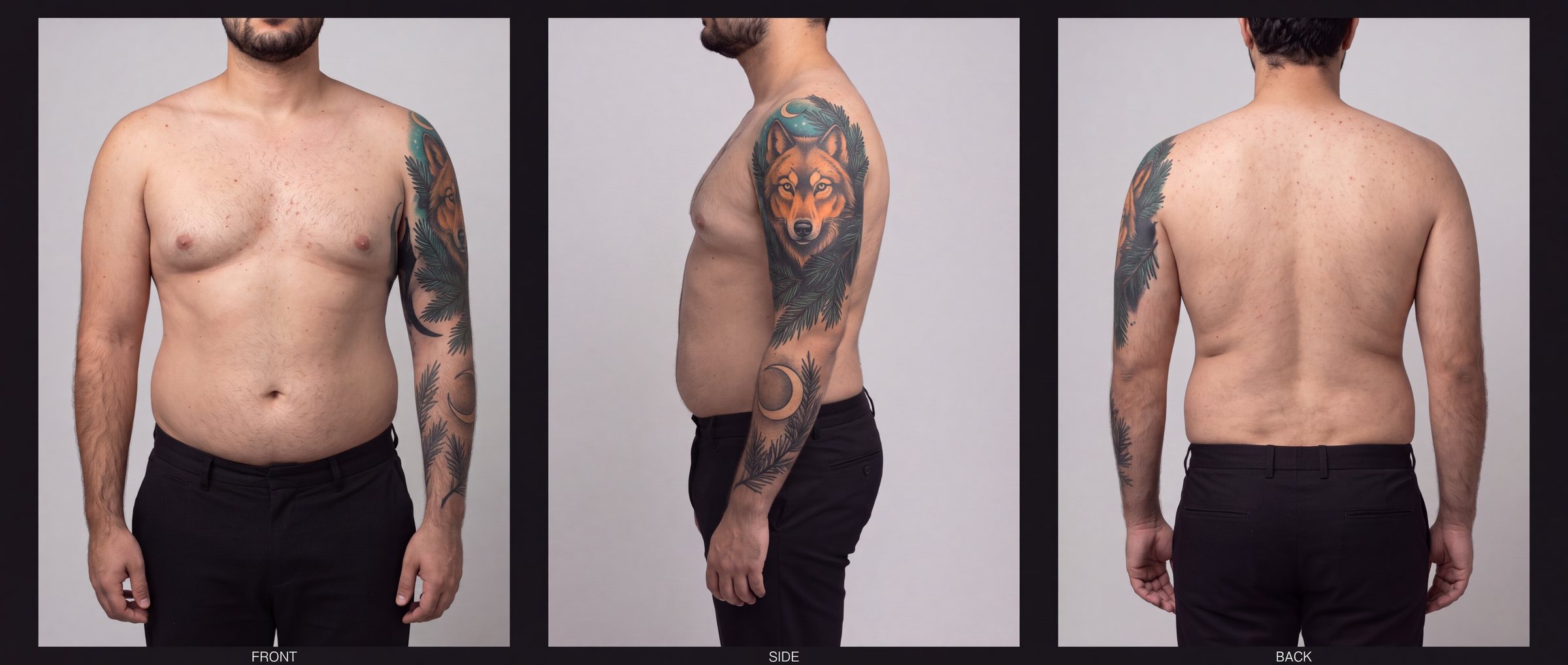 T-22 Wolf study: front, side and back