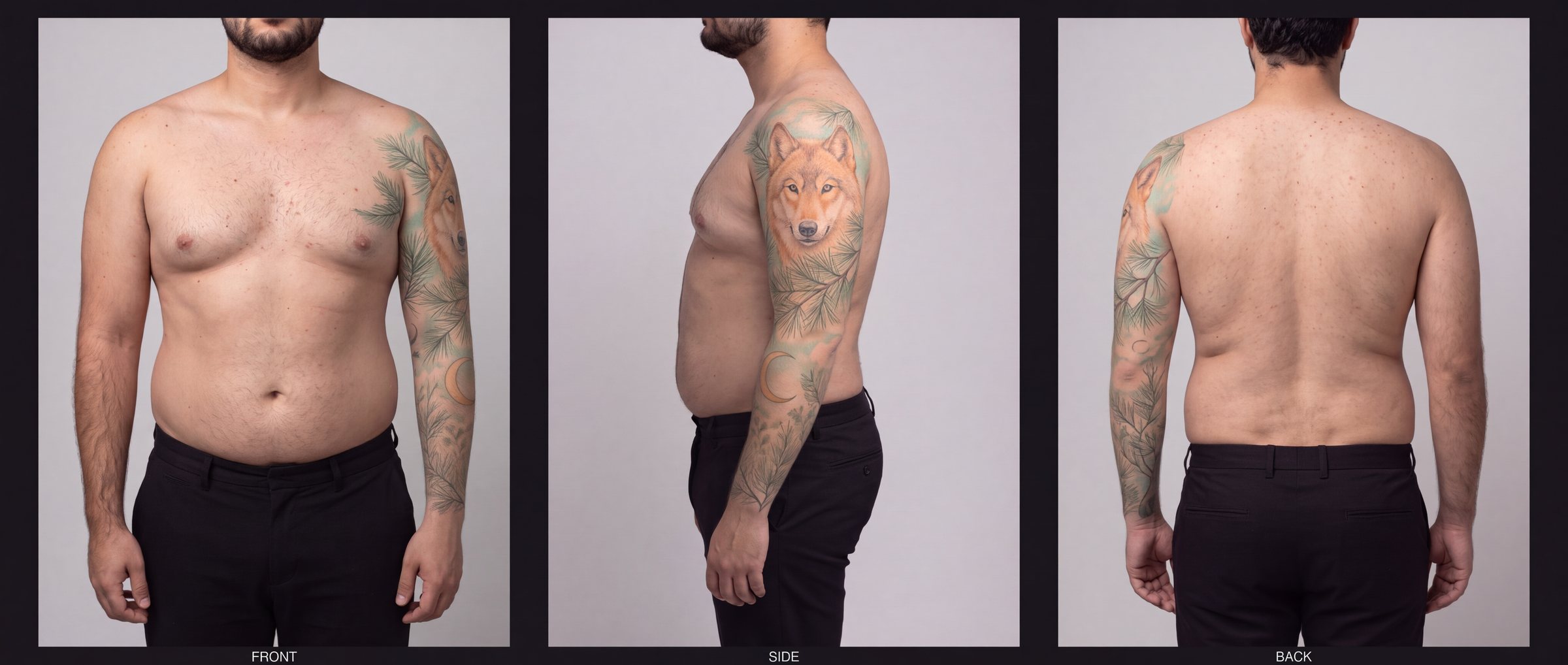 T-23 Wolf study: front, side and back